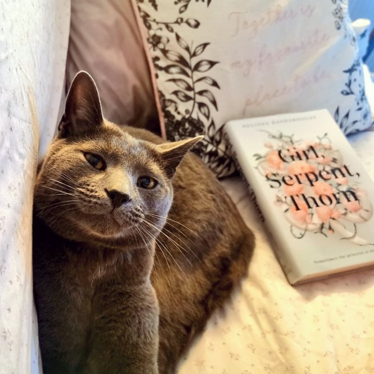 Photograph: a large grey cat lying on a sofa facing the camera. Next to him is a copy of Girl Serpent Thorn in front of a cushion which says "Together is my favourite place to be".